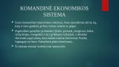 Ekonominių sistemų rūšys 4 puslapis