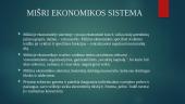 Ekonominių sistemų rūšys 8 puslapis