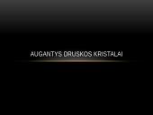 Augantys druskos kristalai