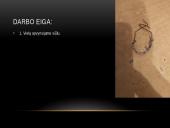 Augantys druskos kristalai 3 puslapis