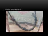 Augantys druskos kristalai 6 puslapis