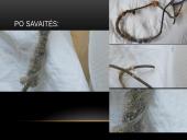 Augantys druskos kristalai 8 puslapis