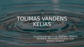 Tolimas vandens kelias