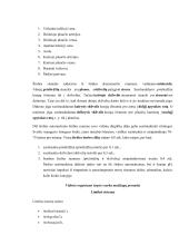 Žmogaus kraujotakos konspektas 12 puslapis