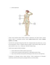 Žmogaus kraujotakos konspektas 13 puslapis