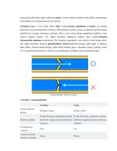 Žmogaus kraujotakos konspektas 9 puslapis