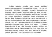 H. Radausko eilėraščio "Mergaitė pajūry" nagrinėjimas 3 puslapis