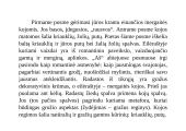 H. Radausko eilėraščio "Mergaitė pajūry" nagrinėjimas 4 puslapis