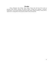 Skandinavų gyvenimo ypatumai 14 puslapis