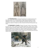 Skandinavų gyvenimo ypatumai 4 puslapis