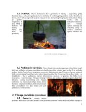 Skandinavų gyvenimo ypatumai 5 puslapis