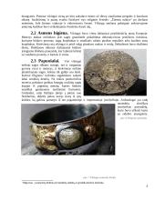 Skandinavų gyvenimo ypatumai 6 puslapis