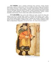 Skandinavų gyvenimo ypatumai 8 puslapis