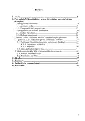 Literatūrinio portreto kūrimo strategijos XIX a. lietuvių didaktinėje prozoje   2 puslapis