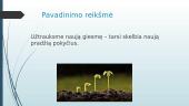 Maironis „Užtrauksme naują giesmę“ nagrinėjimas 4 puslapis