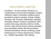 Gyvsidabrio atomas 4 puslapis