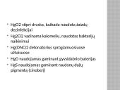 Gyvsidabrio atomas 9 puslapis