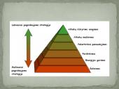 Popieriaus perdirbimas 11 puslapis