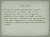 Popieriaus perdirbimas 14 puslapis