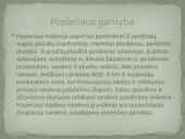 Popieriaus perdirbimas 3 puslapis