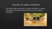 Environmental problem. Water pollution  7 puslapis