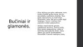 Meilės priešas 12 puslapis