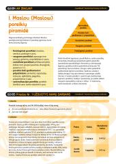 Biudžetas ir finansiniai tikslai 5 puslapis