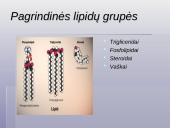 Lipidai, trigliceridai, fosfolipidai, vaškai bei steroidai 3 puslapis