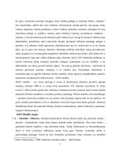 AIDA modelio taikymas komunikacijai naujųjų medijų kanaluose 2 puslapis