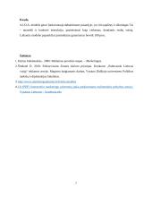 AIDA modelio taikymas komunikacijai naujųjų medijų kanaluose 7 puslapis