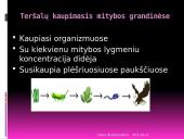 Žemės ūkio teršalai: pesticidai, nitratai, herbicidai 4 puslapis