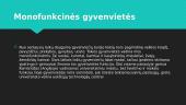 Gyvenvietės funkcijos 10 puslapis