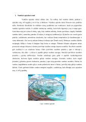 Vandens hidrologinis ciklas 3 puslapis