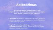 Skaidrės apie terorizmą 3 puslapis