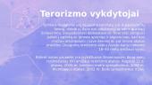 Skaidrės apie terorizmą 5 puslapis