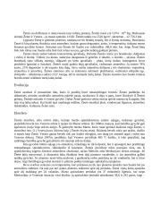 Žemė ir jos magnetinis laukas 2 puslapis