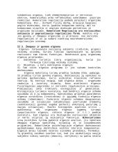 Gyvybinių procesų reguliavimas ir koordinavimas 3 puslapis