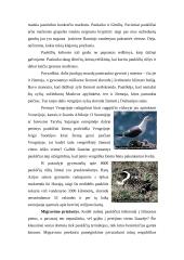 Paukščių migravimas 5 puslapis