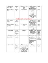 Mineralinių trąšų įtaka dirvožemiui bei augalams 5 puslapis
