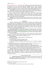 Embrioninis žmogaus vystymasis 4 puslapis