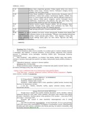 Embrioninis žmogaus vystymasis 7 puslapis