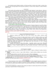 Nuo gimimo iki senatvės 3 puslapis