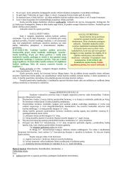 Kaulinis ir kremzlinis audiniai 2 puslapis