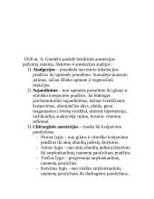 Bendroji anestezija 4 puslapis