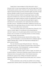 Cheminė informacija 2 puslapis