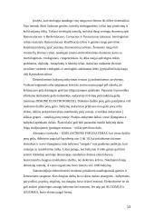 Cheminė informacija 13 puslapis