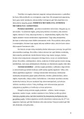 Cheminė informacija 4 puslapis