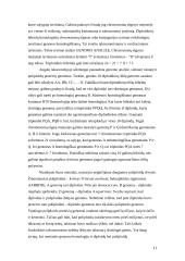 Chromosominė informacija 11 puslapis