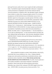 Chromosominė informacija 3 puslapis