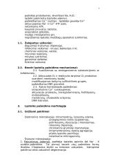 Įvadas į patologiją 3 puslapis